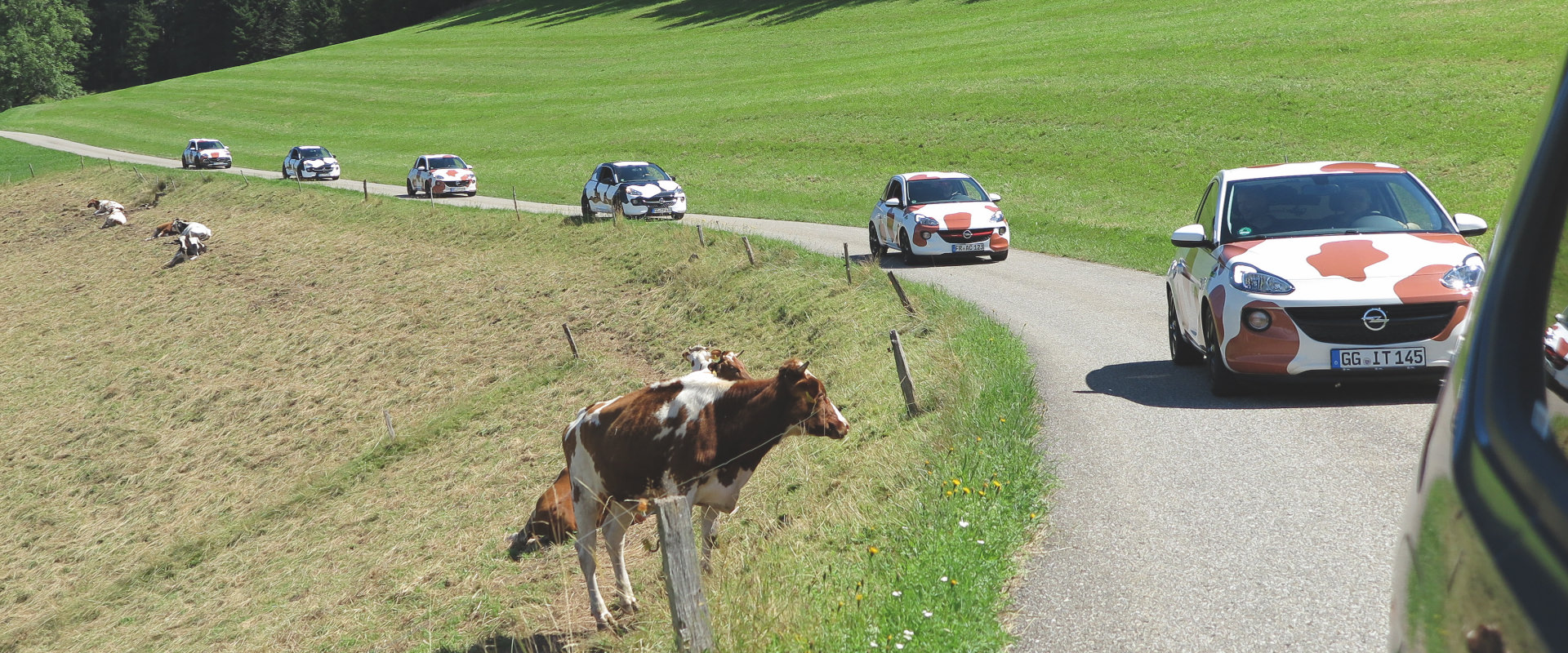 Guerilla Aktion Schwarzwaldmilch Almabtrieb mit Autos