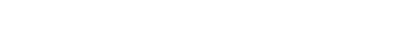 Logo Screen Visions