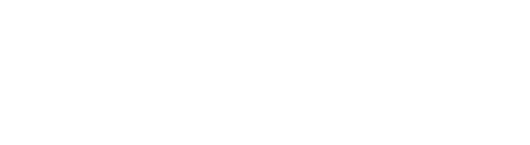Logo United Agencies Network